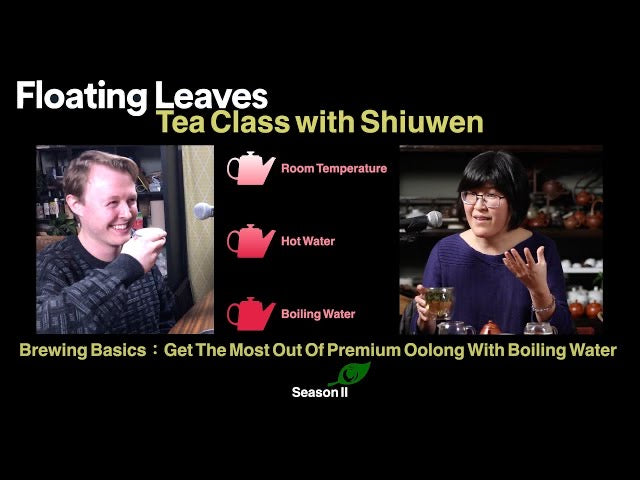 Ep 2 : Brewing Basics : Water Temperature – Floating Leaves Tea