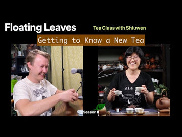 Ep 13 : Getting to Know a New Tea